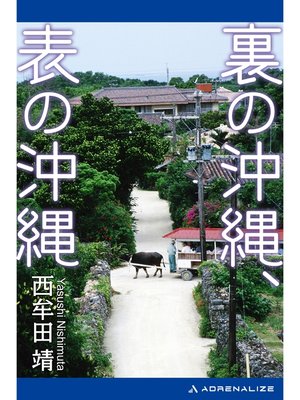 cover image of 裏の沖縄、表の沖縄